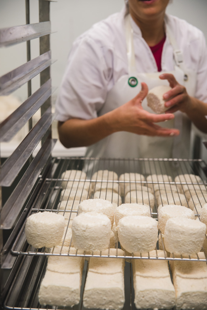 Französische Ziegenkäse bei der Reifung