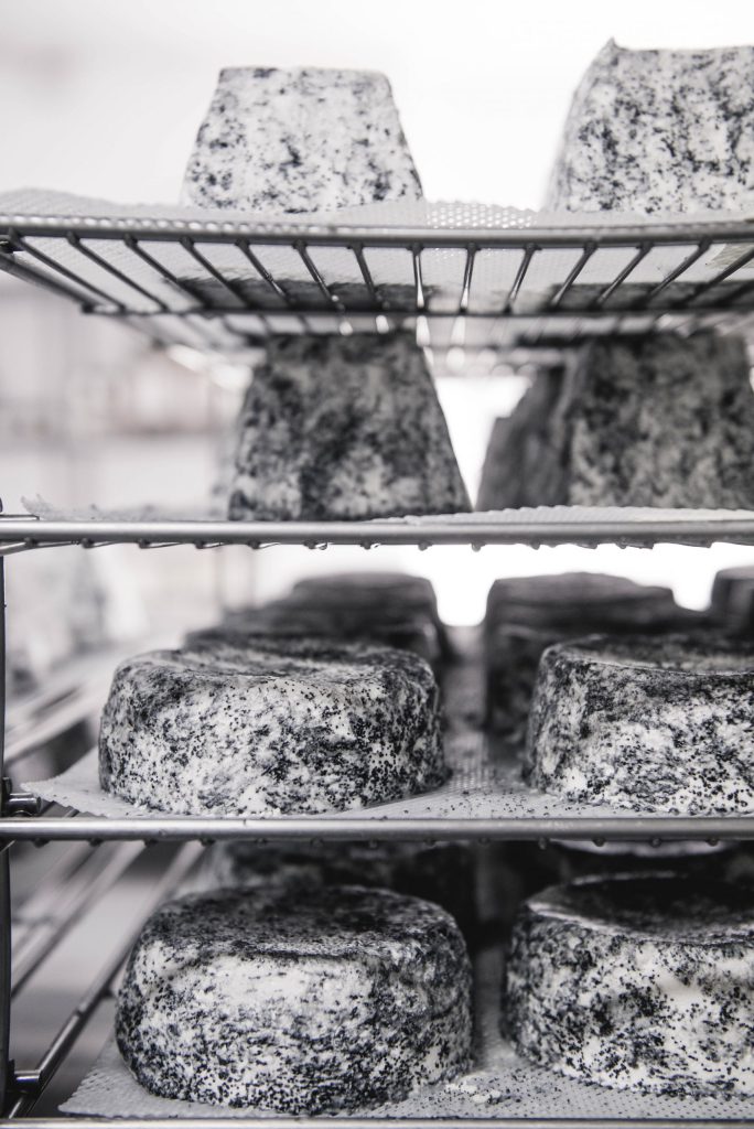 Gereifte Ziegenkäse auf Gittern