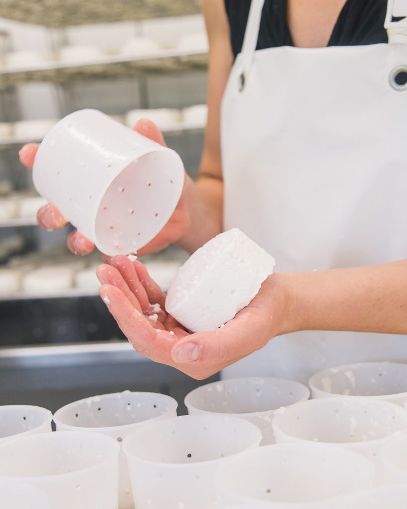 Ziegenkäse beim Abtropfen