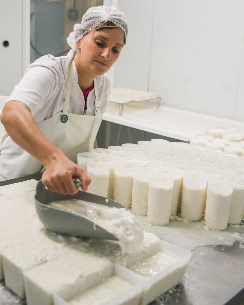 Ziegenkäse in perforierten Käseformen