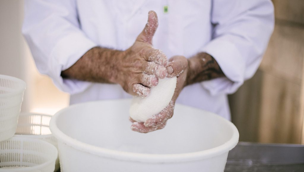 Frisch geformter Ziegenkäse beim Salzen